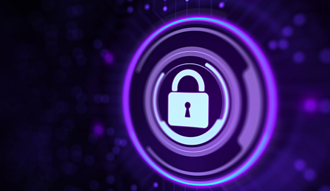 Cyberjeet VAPT Services